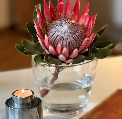 Apartment Loftwohnung Moritzburg